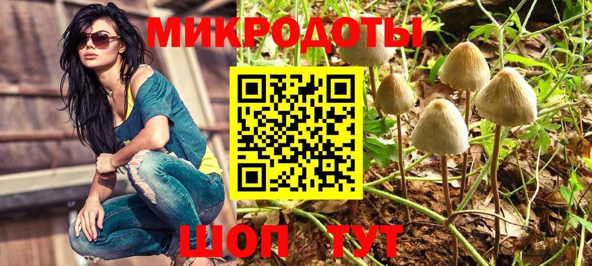 Дербент  Галлюциногенные грибы Magic Shrooms  Вход с VPN 