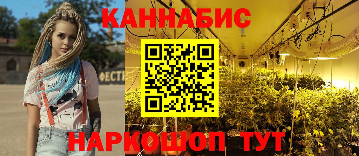Конопля план Дербент